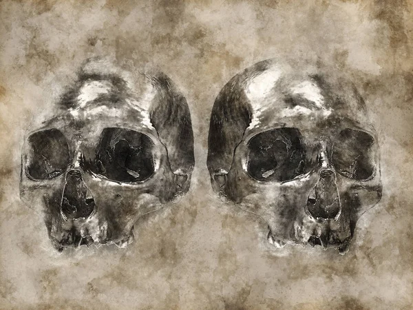 Two Skulls Side Side Vintage Illustration — стоковое фото