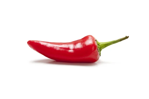 Rode chili peper op witte — Stockfoto