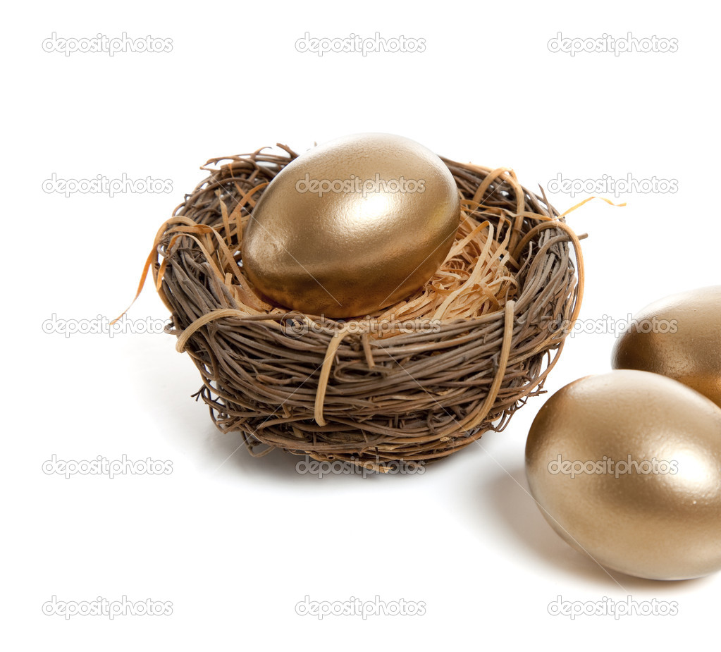 A Golden Egg in Nest