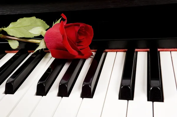 Red Rose on Piano — Stock Photo, Image