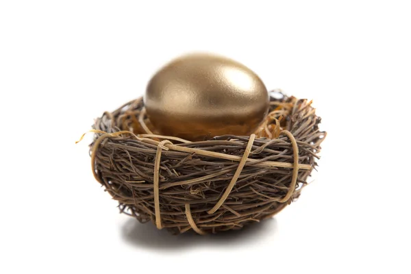 A Golden Egg in Nest — Stock Photo, Image