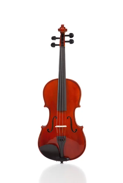 Violin on White — Stock Photo, Image