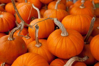 kabaklar arka plan yığınları