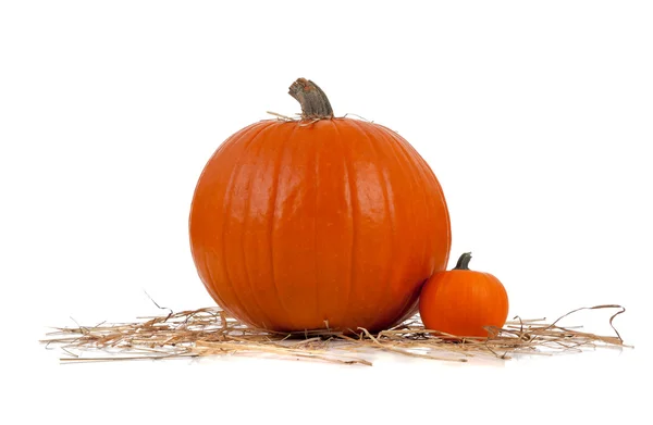 Diverse maten van pumpkins op hooi op wit — Stockfoto