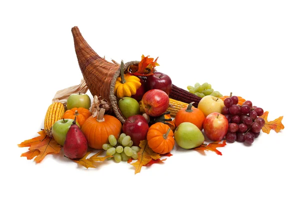 Fall cornucopia on a White back ground Royalty Free Stock Images