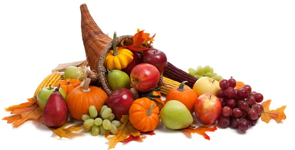 Fall cornucopia on a White back ground Royalty Free Stock Images