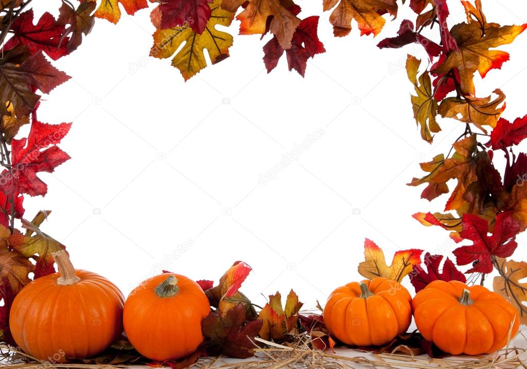 Border of Assorted sizes of pumpkins on hay on white