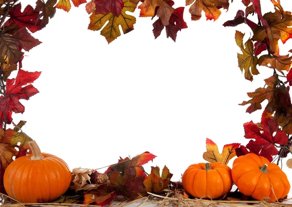 Border of Assorted sizes of pumpkins on hay on white — Stock Photo, Image