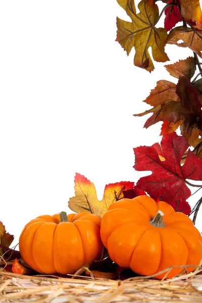 Gemischtes Herbstgemüse als Hintergrund — Stockfoto