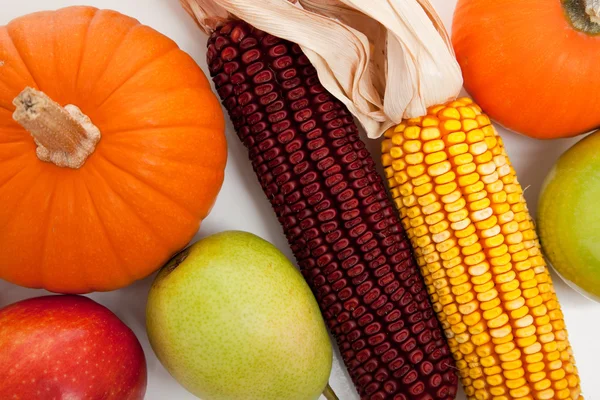 Diverse hösten grönsaker som bakgrund — Stockfoto