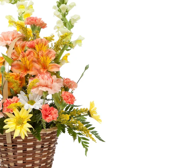 Various flowers arranged in basket on a white background — Stock Photo, Image