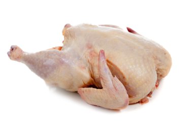 Beyaz bir arka plan üzerinde ham, bütün tavuk