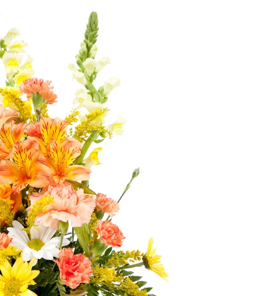 흰색 배경에 바구니에 배열 하는 다양 한 꽃 — 스톡 사진