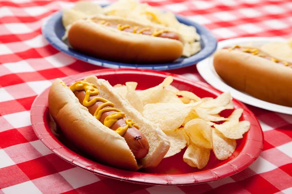 Varios perritos calientes en platos de colores — Foto de Stock