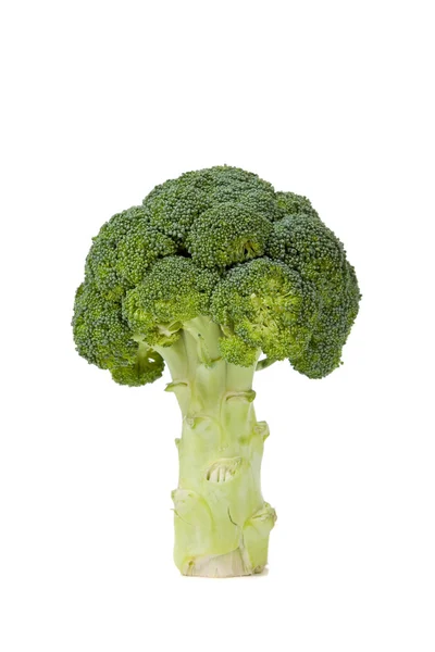 Two broccoli florets on white — Stock Photo, Image