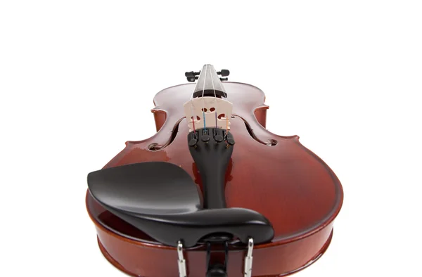 Violino sobre um fundo branco — Fotografia de Stock