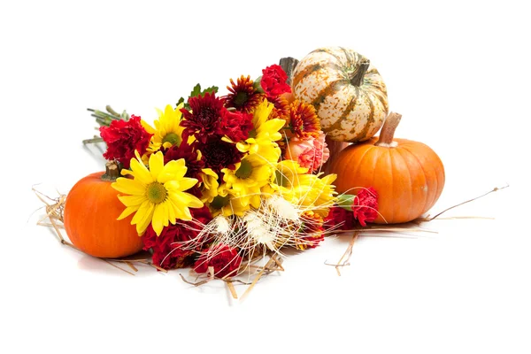 Herfst bloemen regeling op wit — Stockfoto