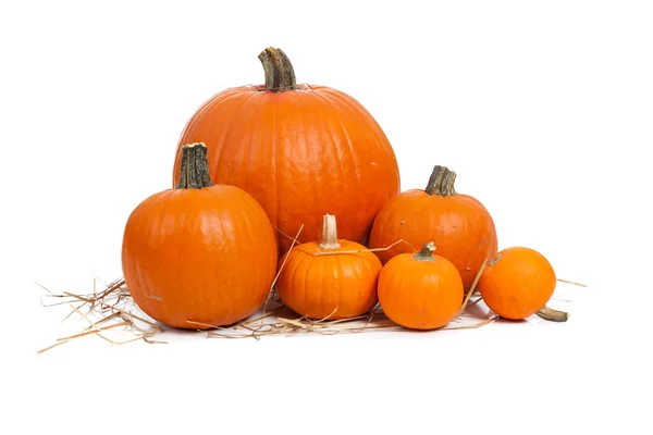 Assorted pumpkins with straw on white — Stock Photo, Image