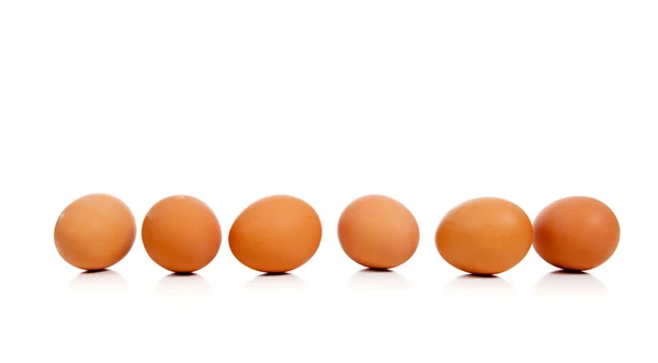 Brown whole eggs in a row on white — Stock Photo, Image