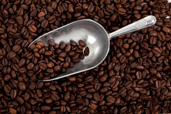 Bakgrund av kaffebönor med skopa — Stockfoto