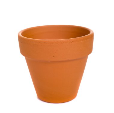 terra cotta saksıyı