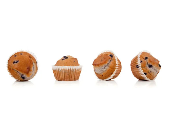 Blueberry muffins beyaz kopya alanı olan bir satırı — Stok fotoğraf