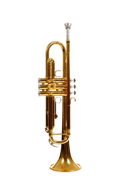 Brass trumpet on a white background — Stock Photo, Image