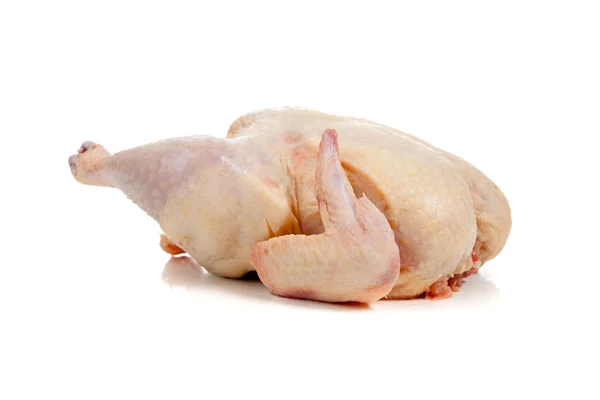 Raw chicken on a white background — Stock Photo, Image