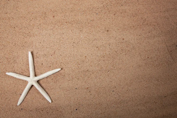 Sand background with a starfish — Stok fotoğraf