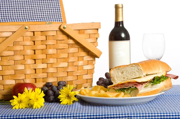 Picnic Lunch — Stock Photo, Image