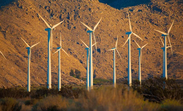 デザートの風車、風力タービンのグループ — ストック写真