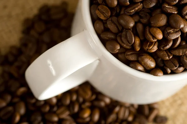 Frijoles de café enteros en taza —  Fotos de Stock