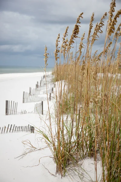 White sandy coastline Stock Image