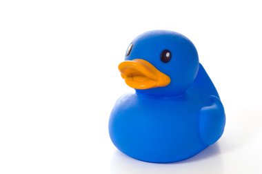 Blue Rubber Duck with Copy Space clipart