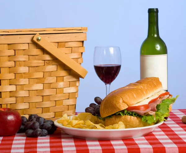 Picnic Lunch — Stock Photo, Image