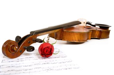 keman, gül ve müzik