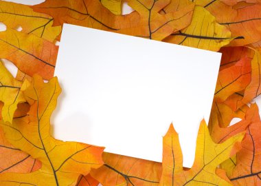 sonbahar veya sonbahar yaprak tebrik kartı arka plan