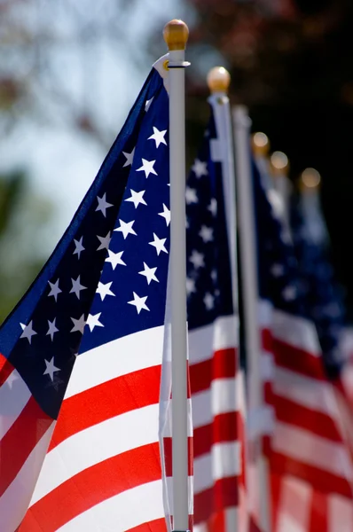 Exibição de bandeira americana para férias — Fotografia de Stock