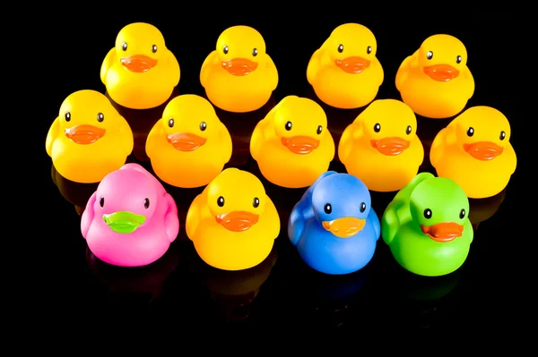 Colorful Ducks on Black — Stock Photo, Image