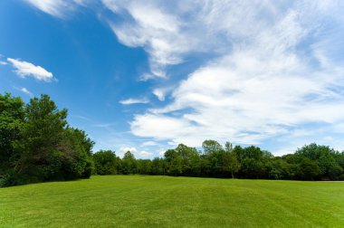 Park sahnesi