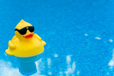 Rubber Duck on Blue clipart