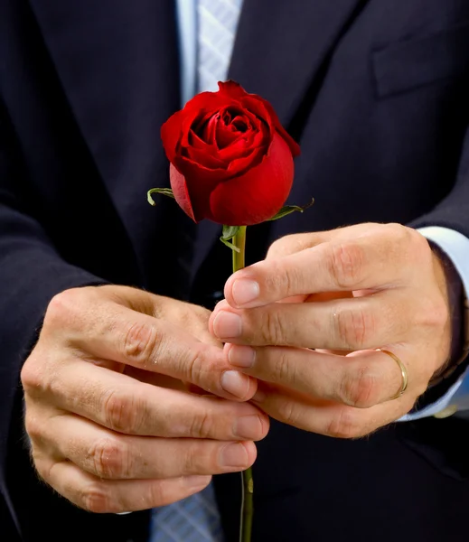 Muž dává růže — Stock fotografie