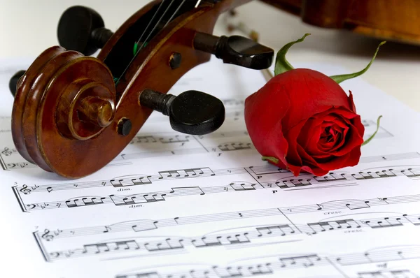 小提琴、 玫瑰和乐谱 — 图库照片