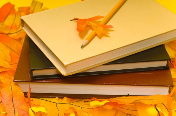 Школьные книги и осень — стоковое фото