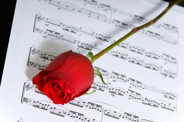 Red rose on music — Stock Photo, Image