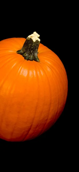 Pumpkin on Black — Stock Photo, Image