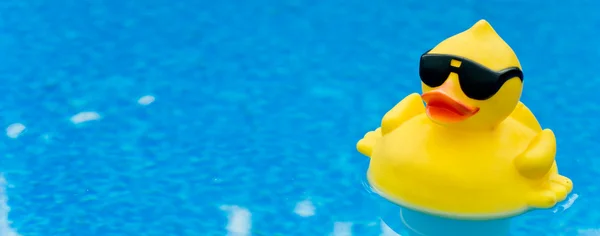 Rubber Duck on Blue — Stock Photo, Image