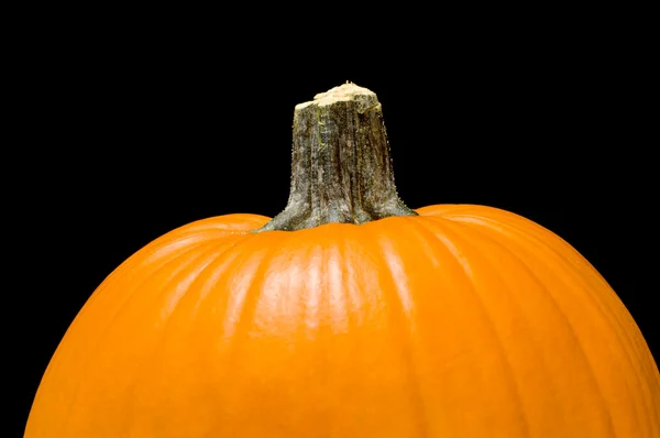 Pumpkin on Black — Stock Photo, Image