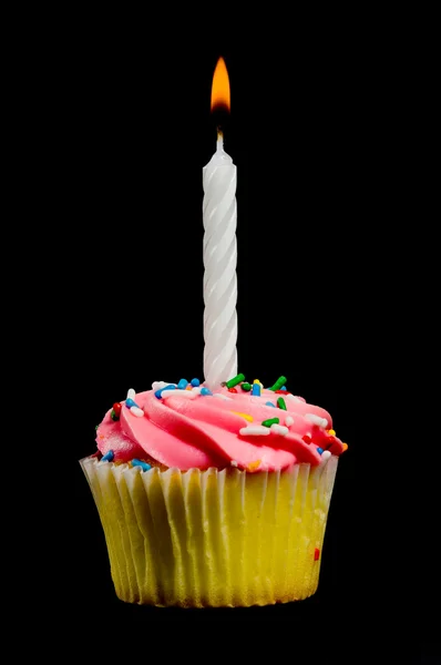 Birthday Cupcake Stock Image
