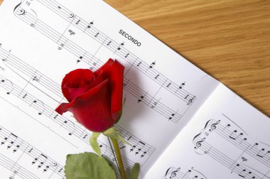 Gül desenli levha müzik